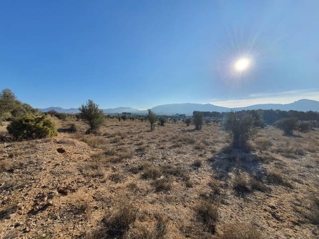 Terreno/Finca Rústica en Villena en venta - 56.500 € (Ref: 9898702)