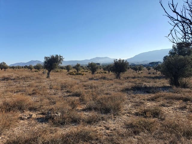 Terreno/Finca Rústica en Villena en venta - 56.500 € (Ref: 9898702)