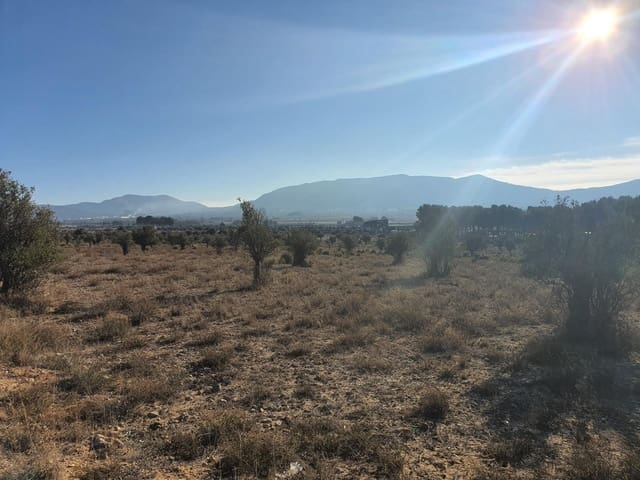 Terreno/Finca Rústica en Villena en venta - 56.500 € (Ref: 9898702)