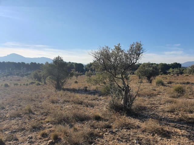 Terreno/Finca Rústica en Villena en venta - 56.500 € (Ref: 9898702)