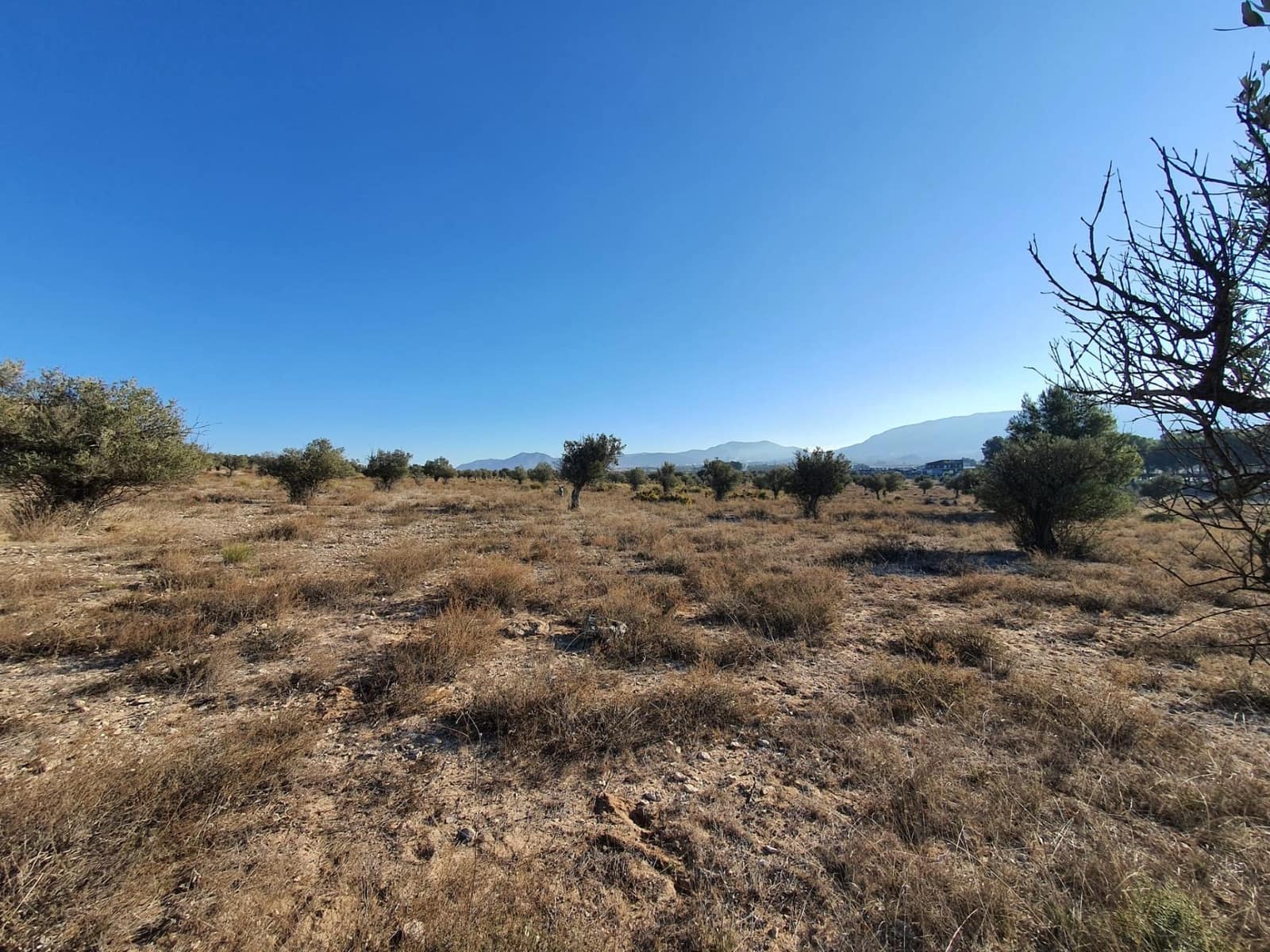 Terreno/Finca Rústica en Villena en venta - 56.500 € (Ref: 9898702)