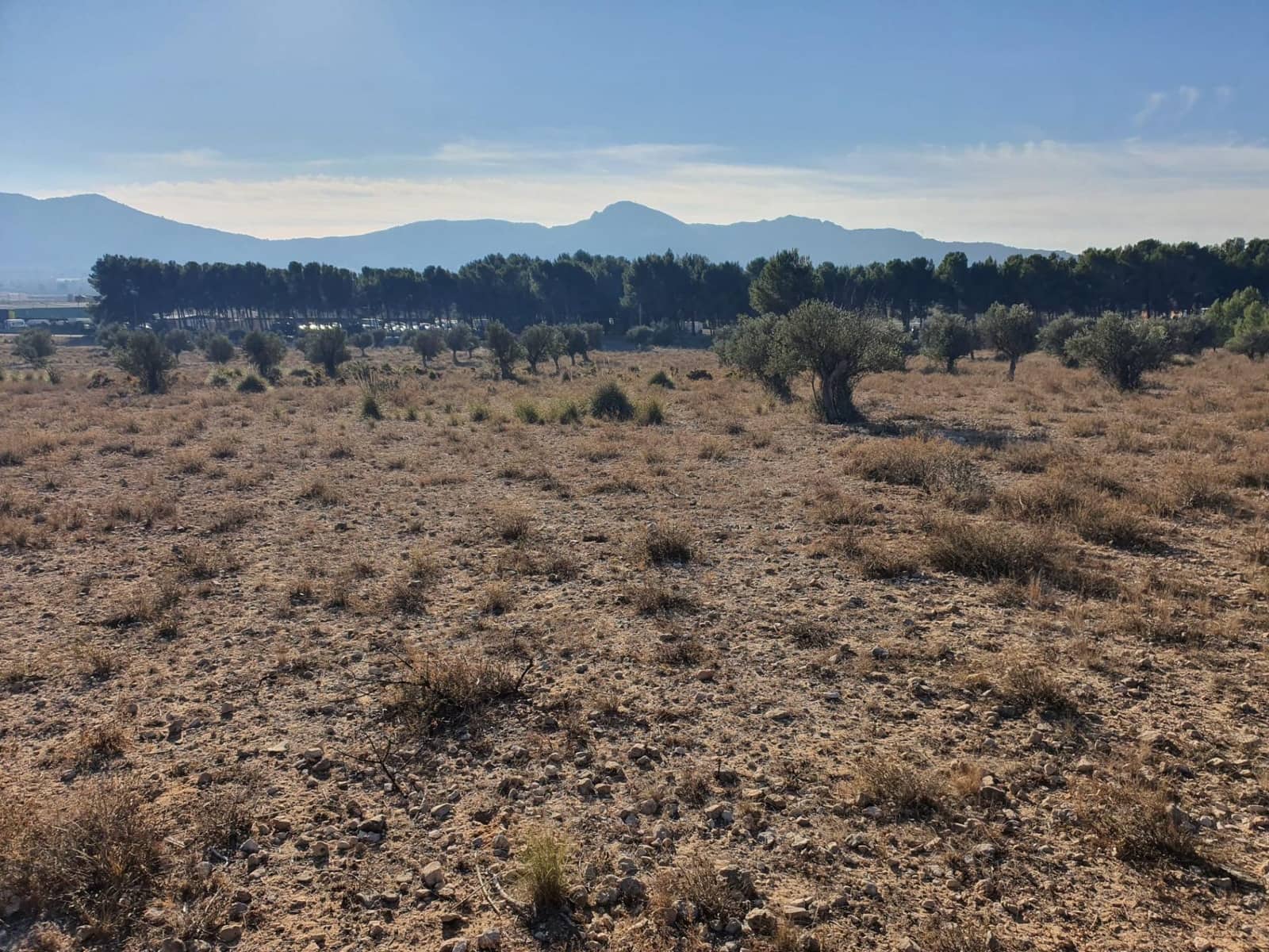 Terreno/Finca Rústica en Villena en venta - 56.500 € (Ref: 9898702)