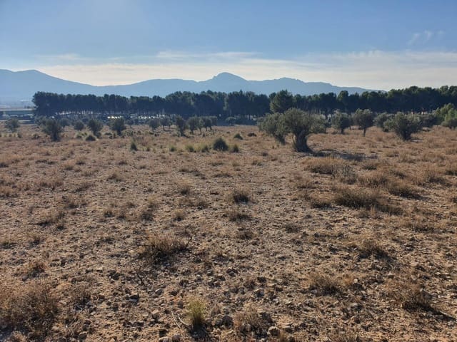 Terreno/Finca Rústica en Villena en venta - 56.500 € (Ref: 9898702)