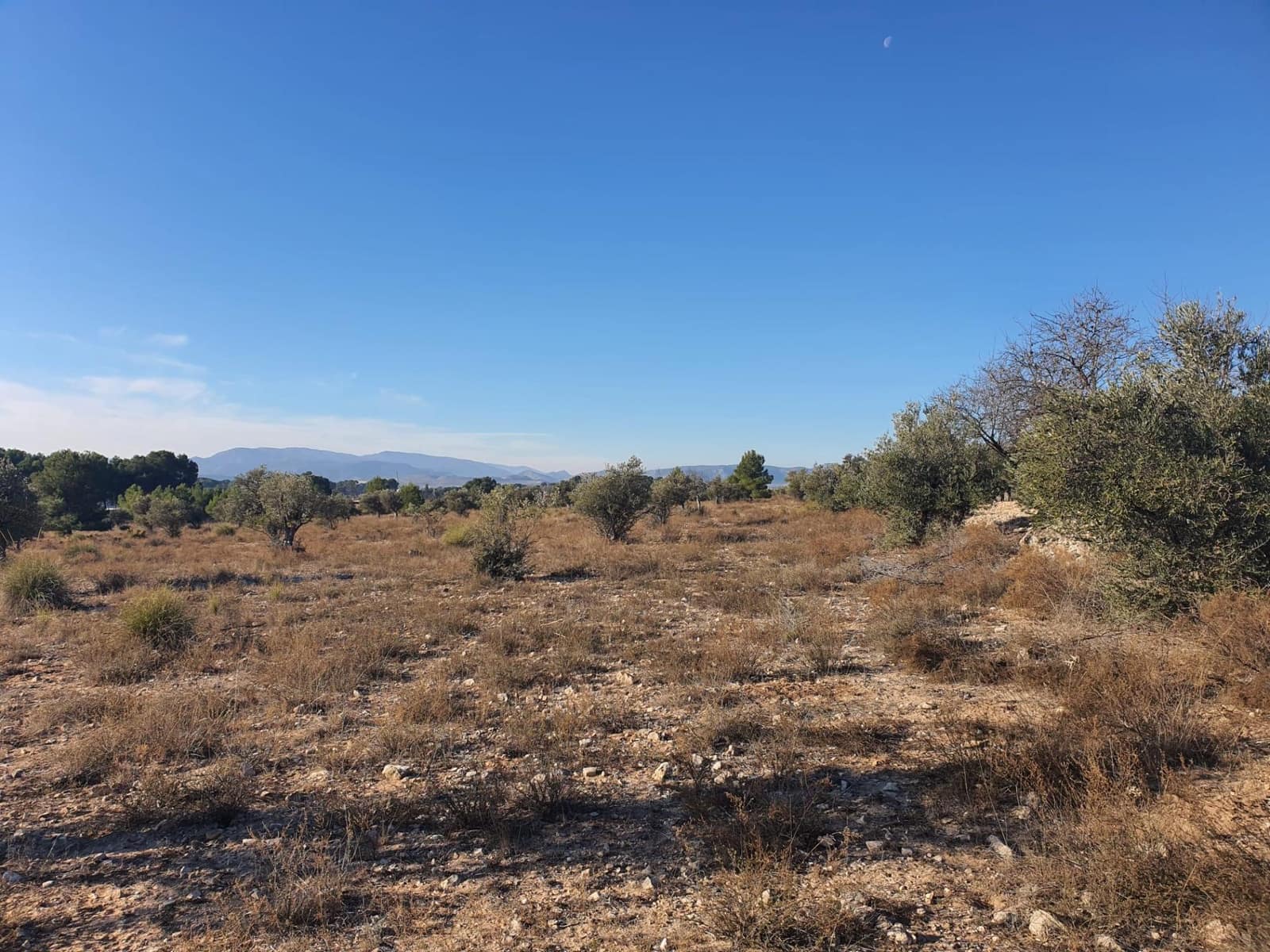 Terreno/Finca Rústica en Villena en venta - 56.500 € (Ref: 9898702)