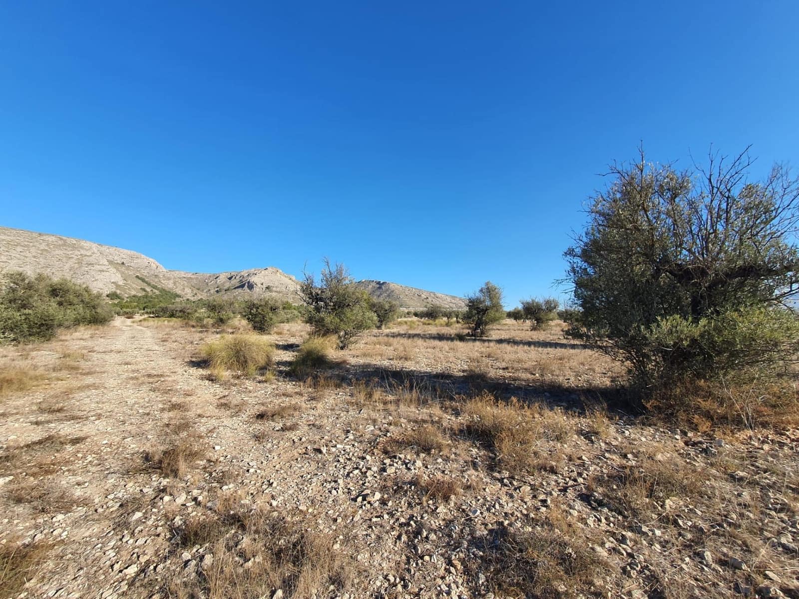 Terreno/Finca Rústica en Villena en venta - 56.500 € (Ref: 9898702)