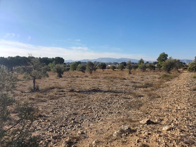 Terreno/Finca Rústica en Villena en venta - 56.500 € (Ref: 9898702)