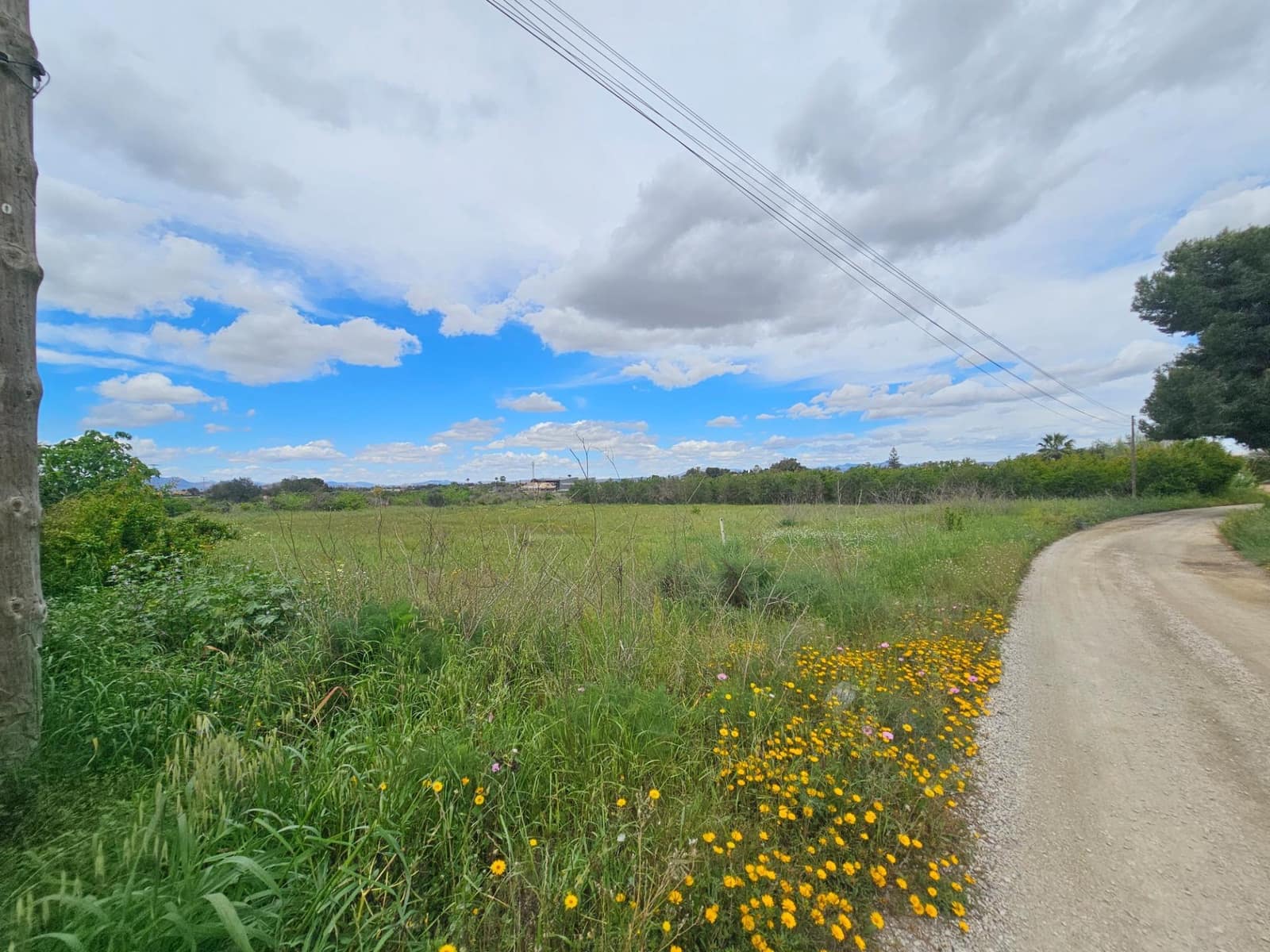 Byggegrund til salg i Valverde - € 85.990 (Ref: 8937017)