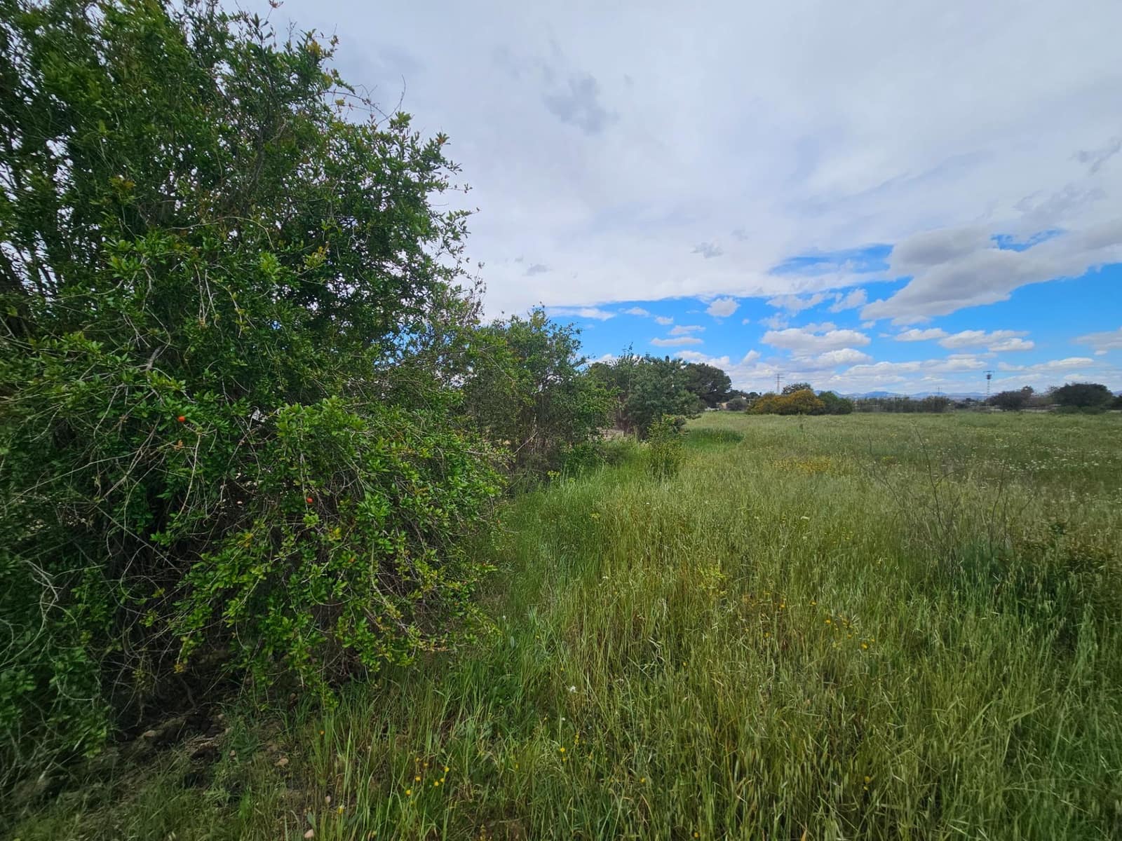 Byggegrund til salg i Valverde - € 85.990 (Ref: 8937017)