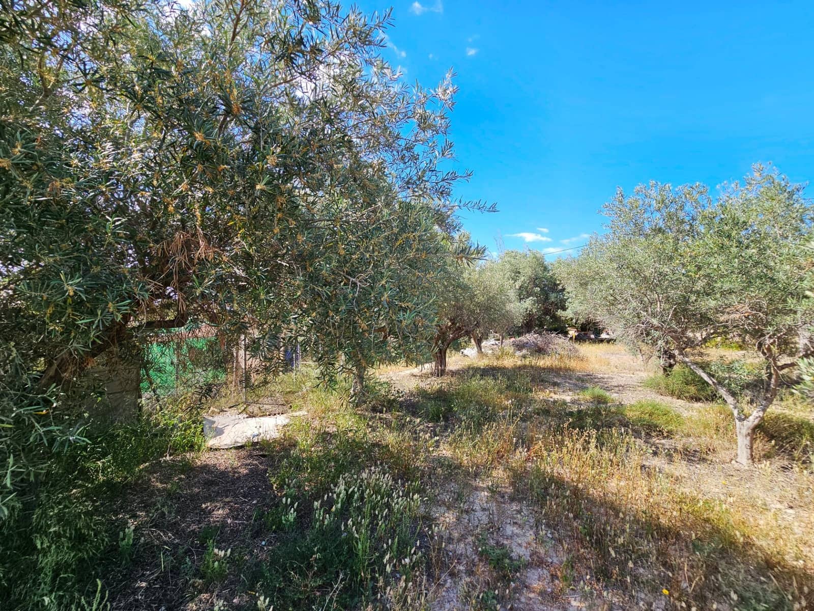 8 soverom Villa til salgs i Torrellano med svømmebasseng garasje - € 259 900 (Ref: 9012842)