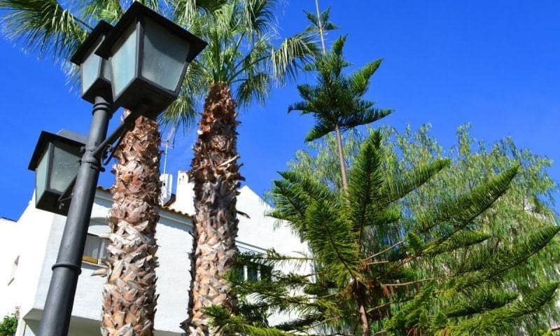 3 sypialnia Bungalow na sprzedaż w Gran Alacant z basenem garażem - 234 990 € (Ref: 9163763)