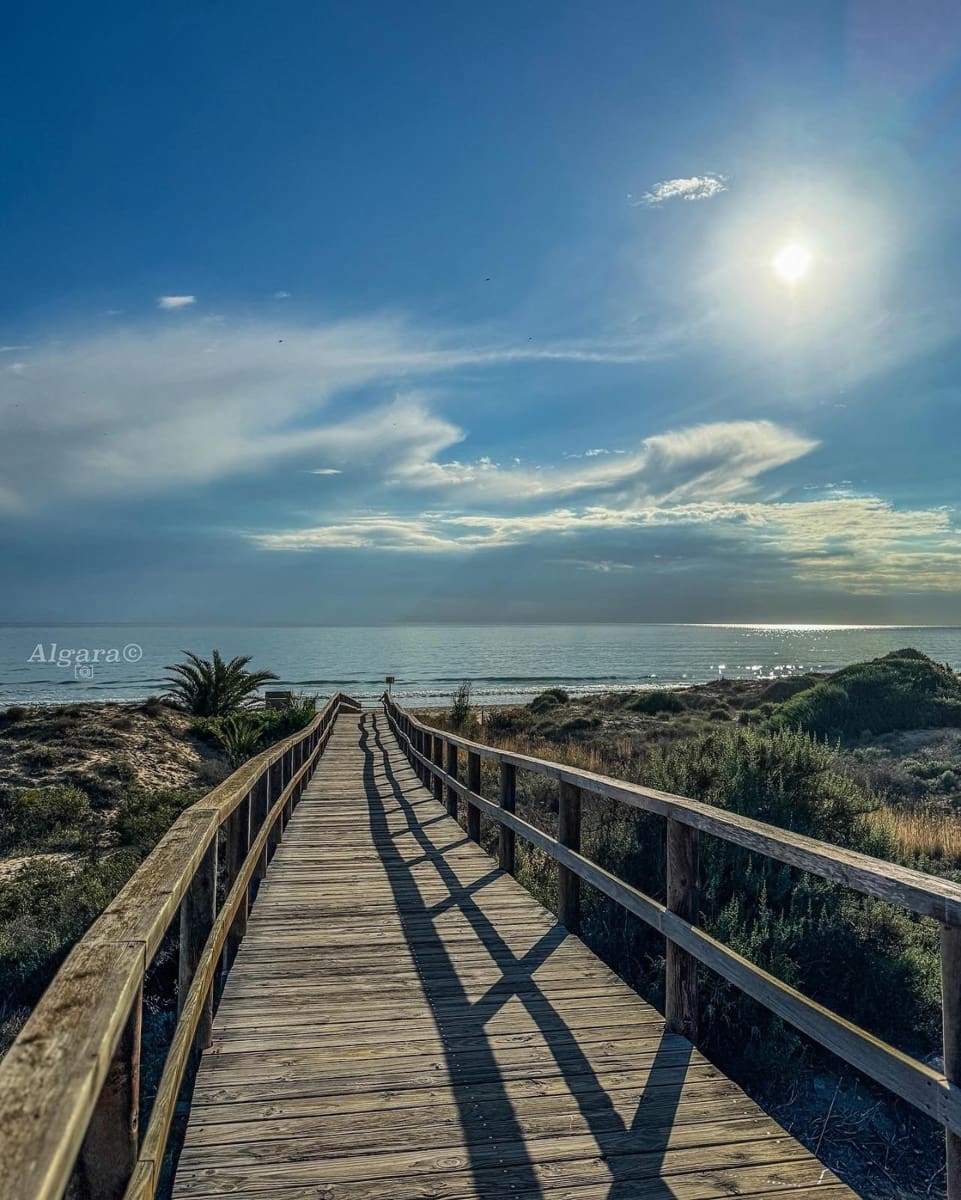 2 sypialnia Apartament na sprzedaż w Arenales del Sol z basenem - 310 000 € (Ref: 9472991)