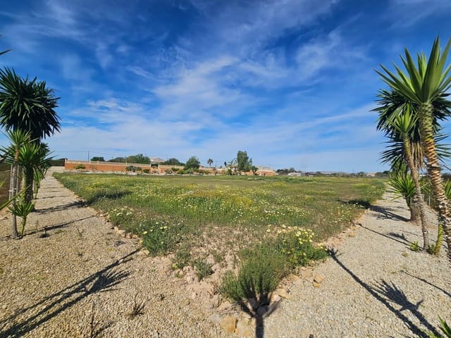 5 camera da letto Finca/Casa di Campagna in vendita in Torrellano, Elche / Elx con piscina garage - 525.000 € (Rif: 9565300)