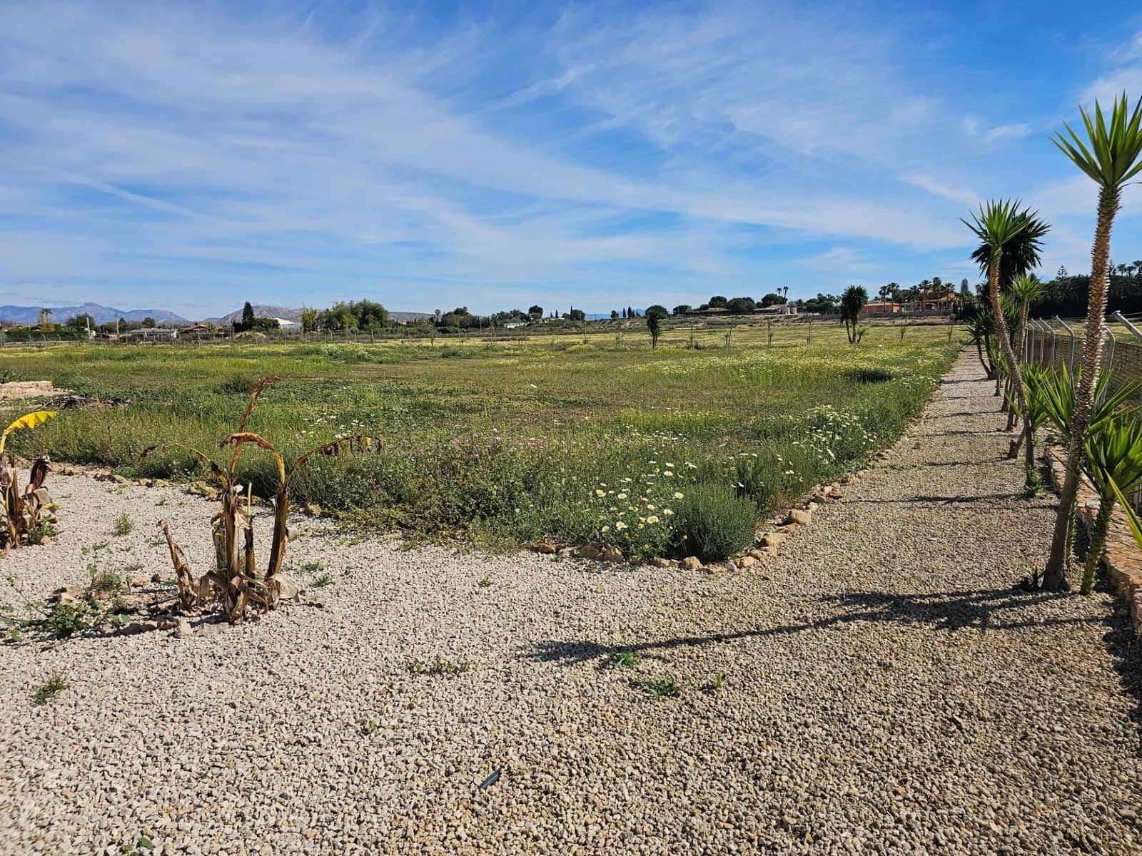 5 camera da letto Finca/Casa di Campagna in vendita in Torrellano con piscina garage - 525.000 € (Rif: 9565300)