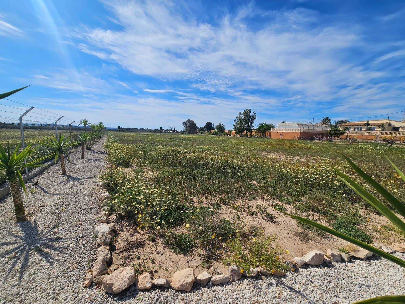 5 camera da letto Finca/Casa di Campagna in vendita in Torrellano con piscina garage - 525.000 € (Rif: 9565300)