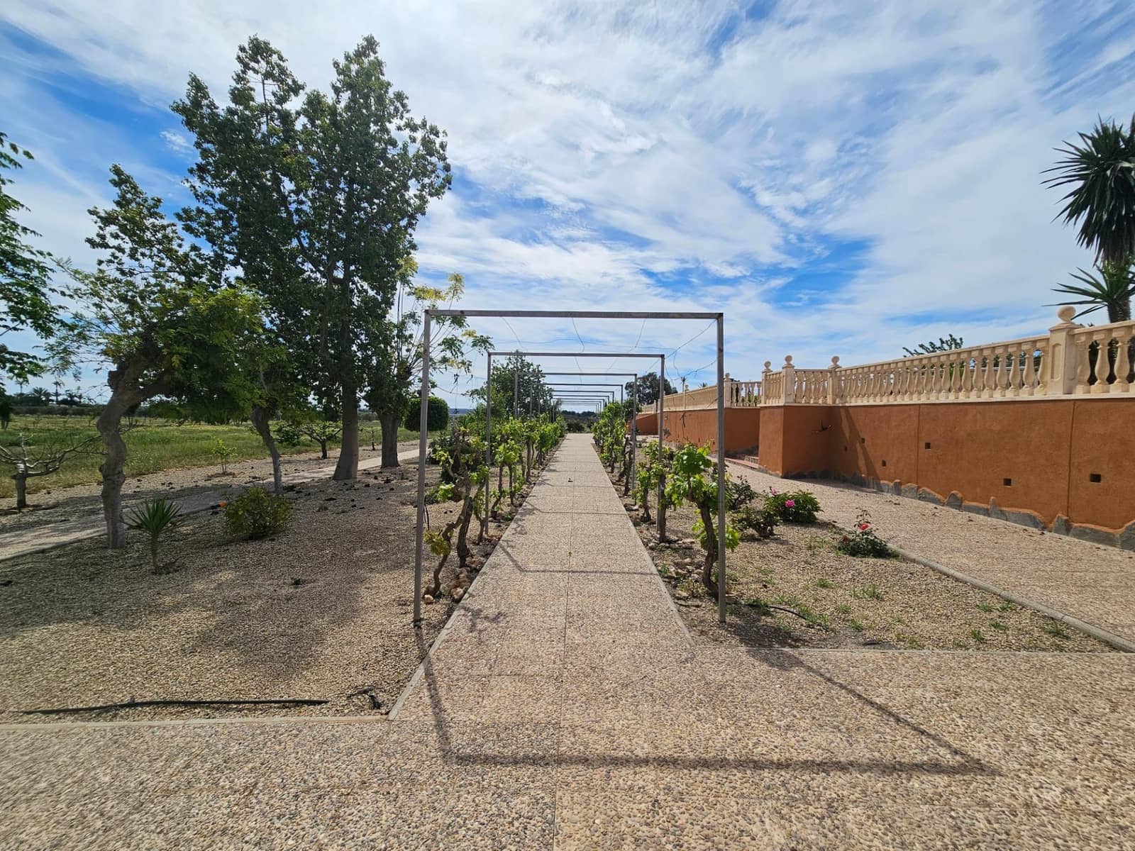 5 camera da letto Finca/Casa di Campagna in vendita in Torrellano con piscina garage - 525.000 € (Rif: 9565300)