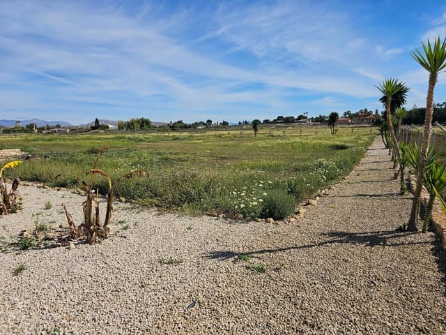 5 camera da letto Finca/Casa di Campagna in vendita in Torrellano, Elche / Elx con piscina garage - 525.000 € (Rif: 9565300)