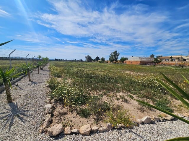 5 camera da letto Finca/Casa di Campagna in vendita in Torrellano, Elche / Elx con piscina garage - 525.000 € (Rif: 9565300)