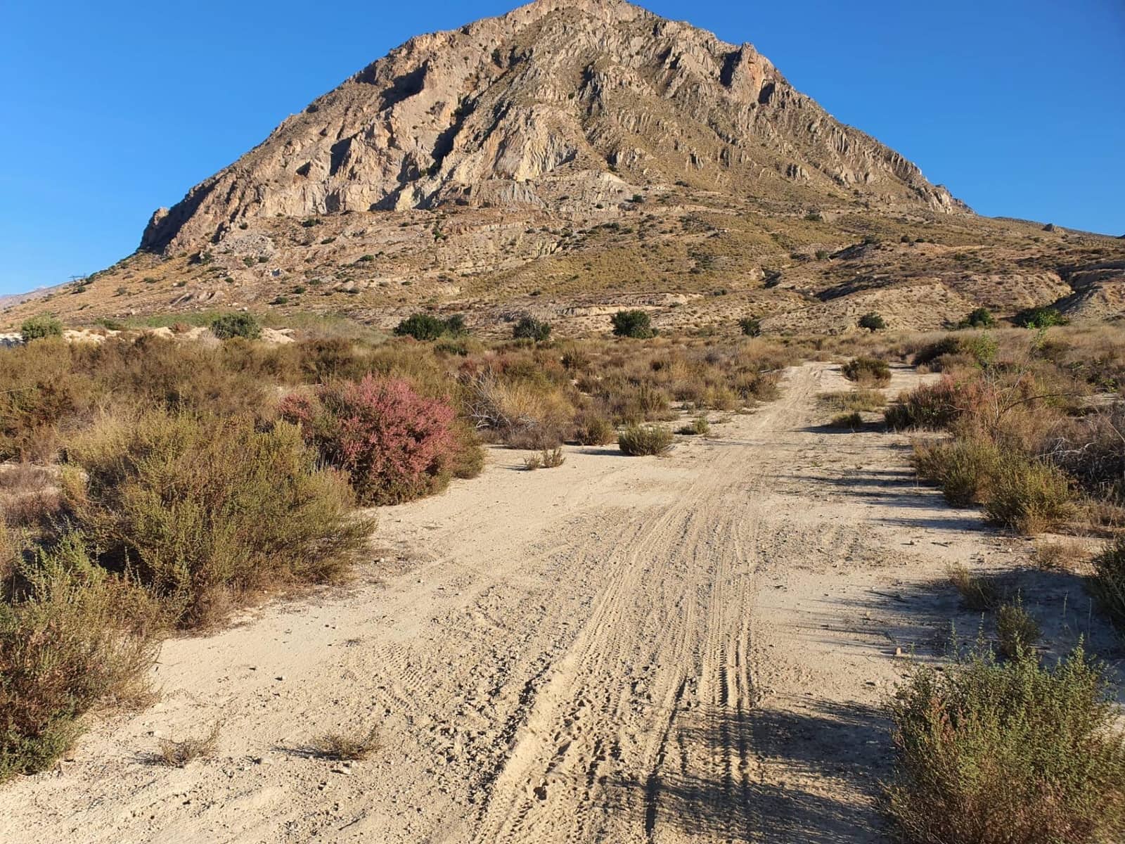 Ubebygd land til salgs i Alicante by - € 128 100 (Ref: 9630028)