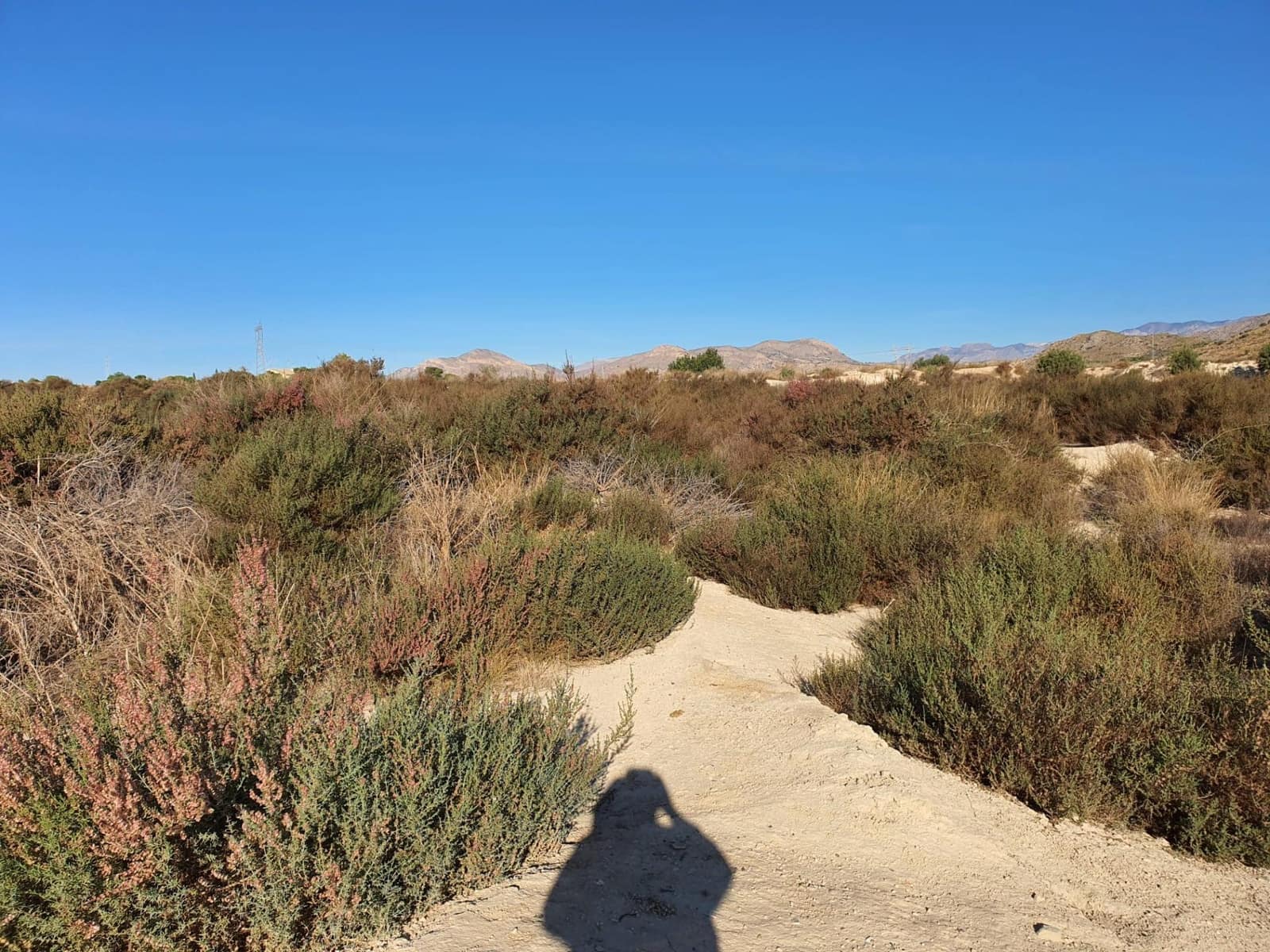 Ubebygd land til salgs i Alicante by - € 128 100 (Ref: 9630028)