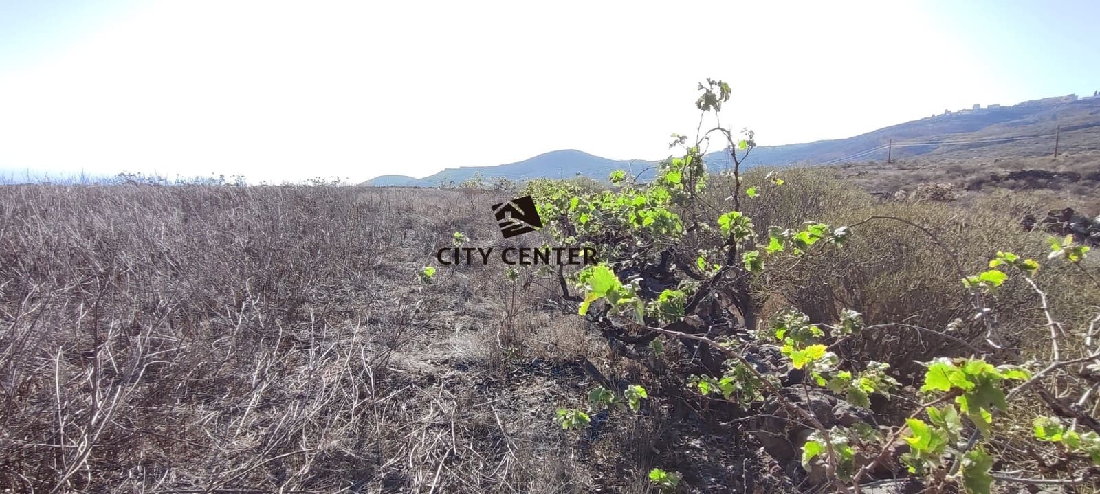 Finca/Country House for sale in Granadilla de Abona - € 155,000 (Ref: 9282979)