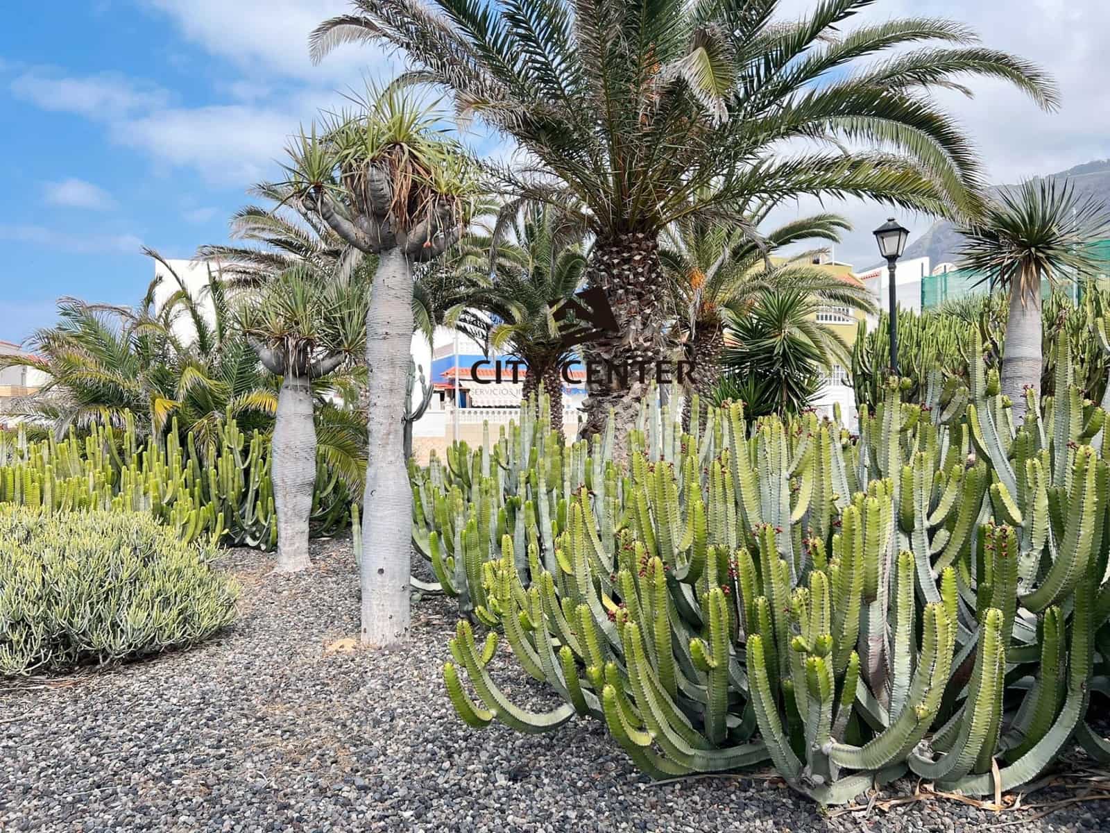 Komercyjne na sprzedaż w Los Silos - 105 900 € (Ref: 9296163)