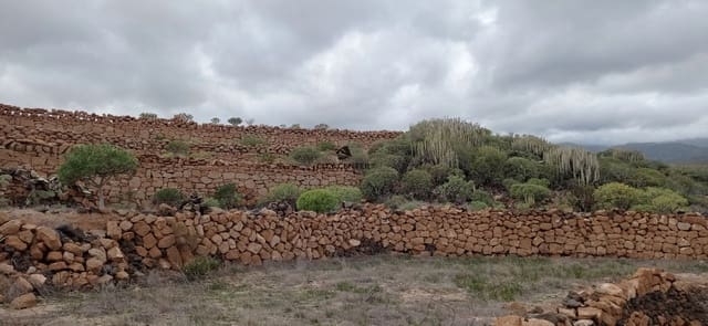 Finca/Landgut zu verkaufen in Granadilla de Abona - 97.000 € (Ref: 9298935)