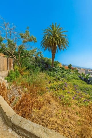 Byggegrund til salg i La Victoria de Acentejo - € 32.900 (Ref: 9490016)