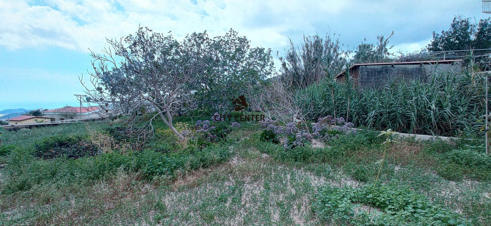 4 bedroom Finca/Country House for sale in San Miguel de Abona with pool garage - € 700,000 (Ref: 9613908)