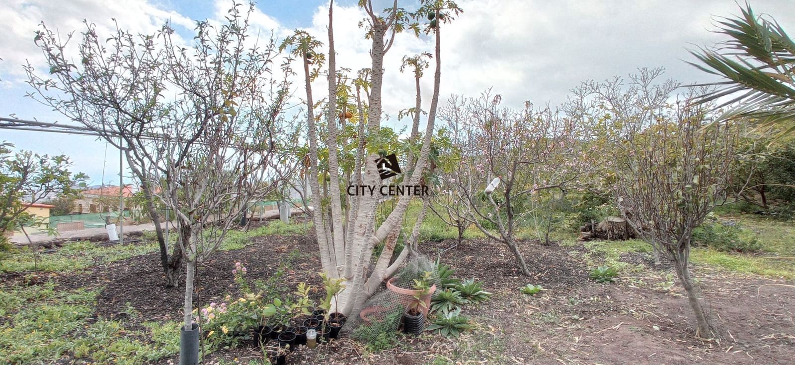 4 bedroom Finca/Country House for sale in San Miguel de Abona with pool garage - € 700,000 (Ref: 9613908)