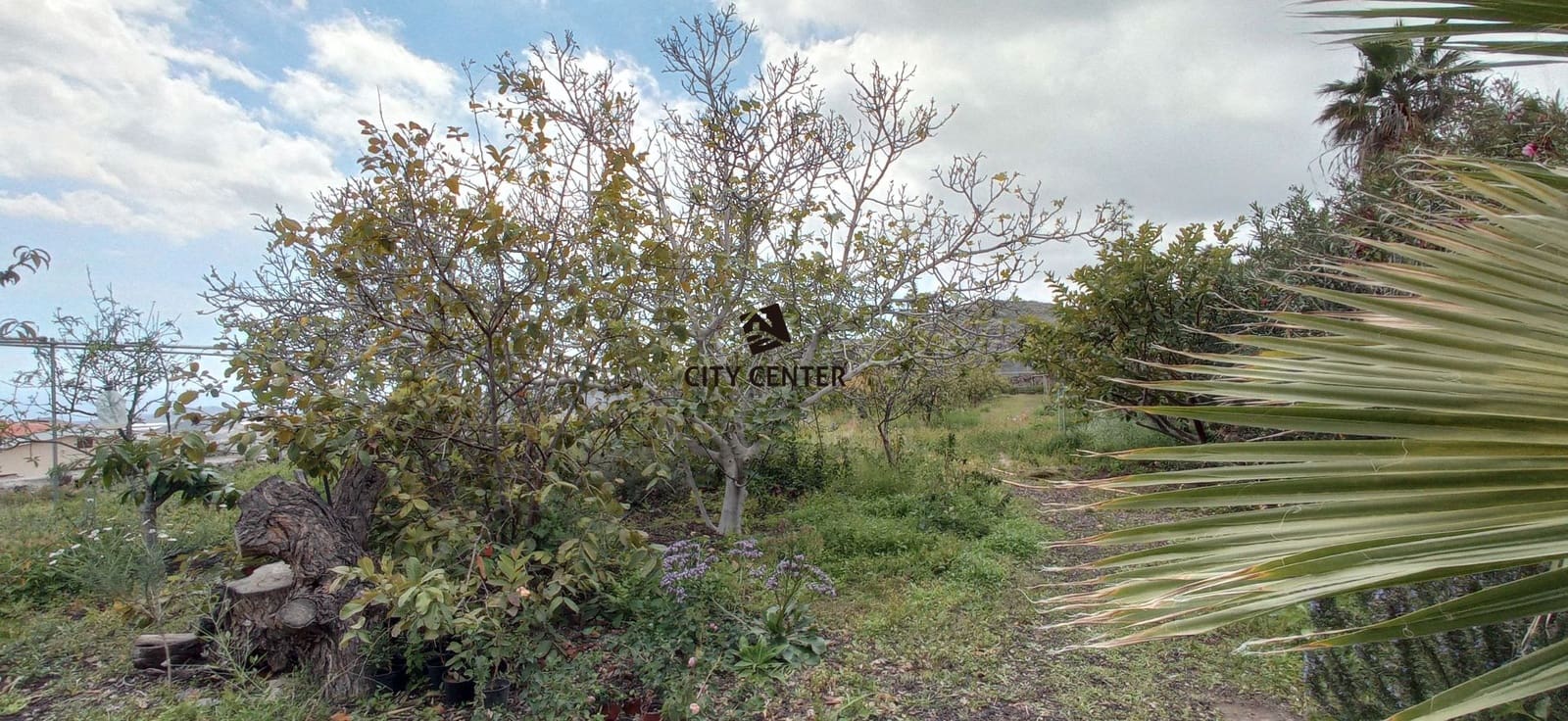 4 bedroom Finca/Country House for sale in San Miguel de Abona with pool garage - € 700,000 (Ref: 9613908)