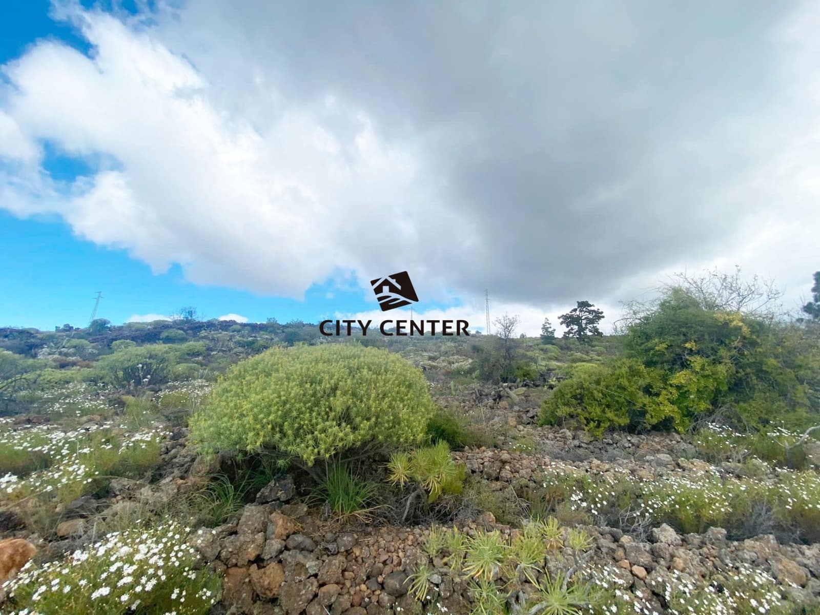 Ubebygd land til salgs i Guia de Isora - € 35 000 (Ref: 9618757)