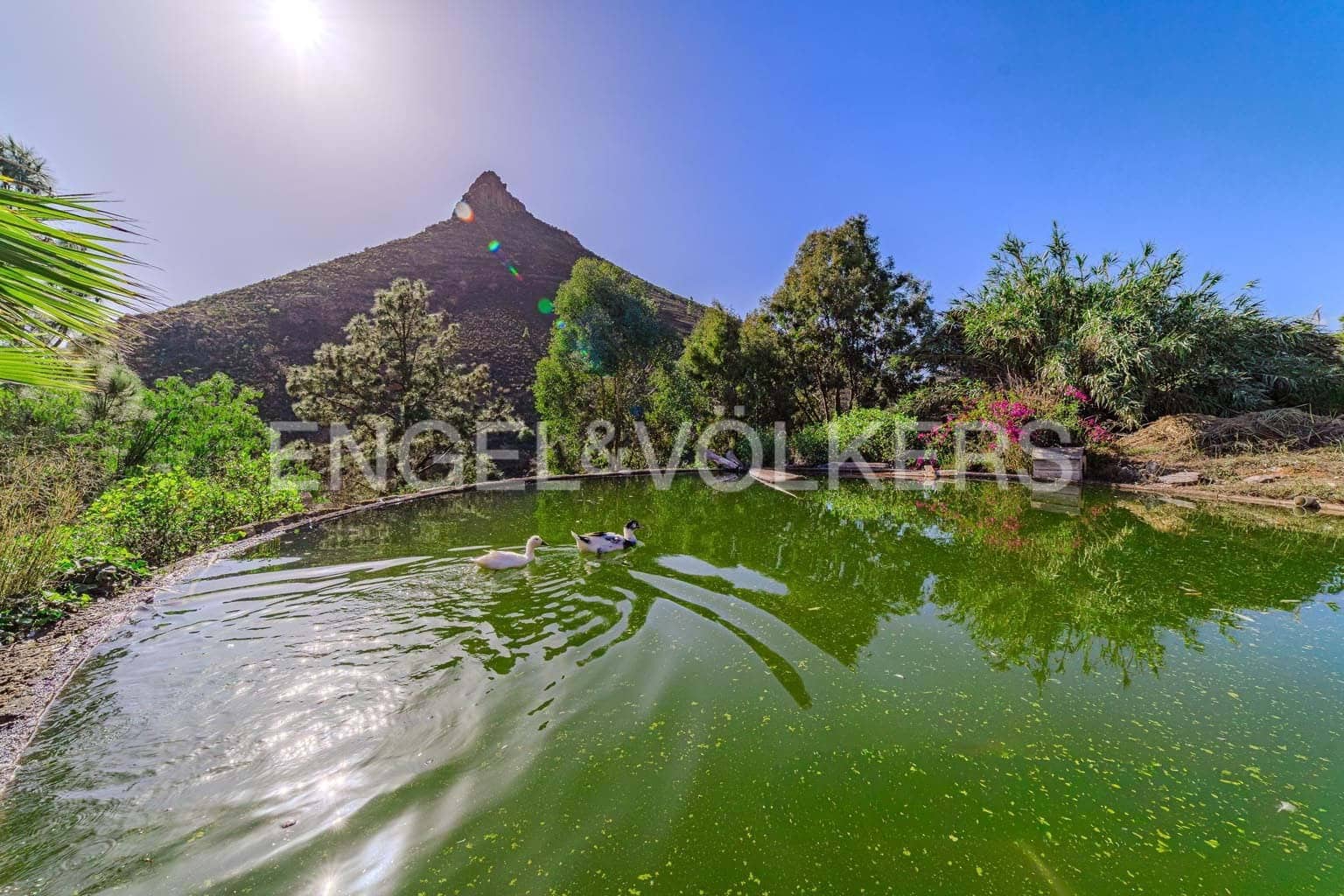 9 Zimmer Villa zu verkaufen in Arona - 799.000 € (Ref: 9465933)