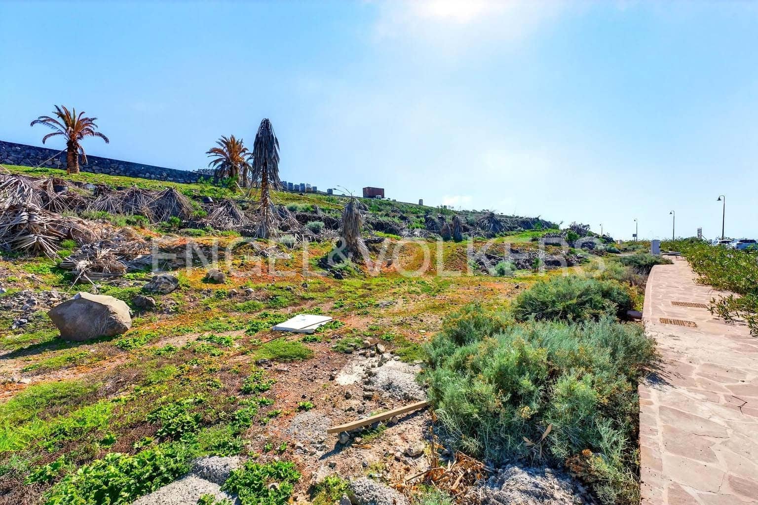 Undeveloped Land for sale in Guia de Isora - € 1,490,000 (Ref: 9580081)