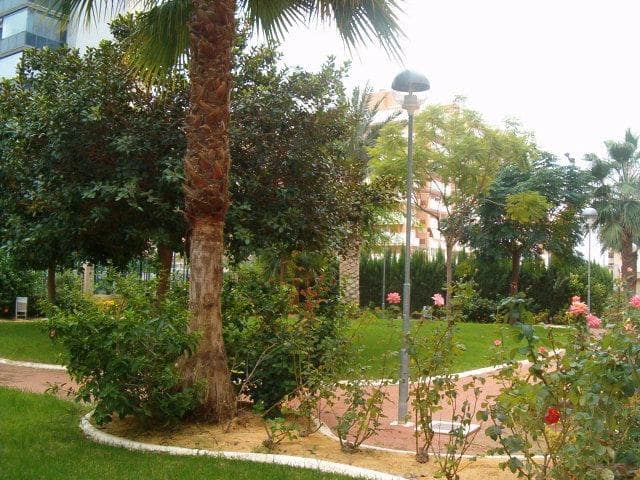 2 camera da letto Appartamento da affittare in Playa de San Juan con piscina garage - 1.100 € (Rif: 10005730)