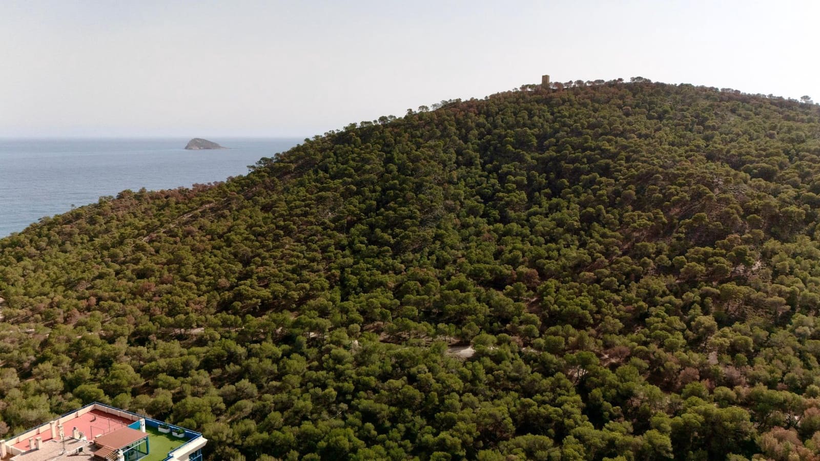 Appartement de 2 chambres à louer à La Villajoyosa / Vila Joiosa avec piscine - 950 € (Ref: 8017617)