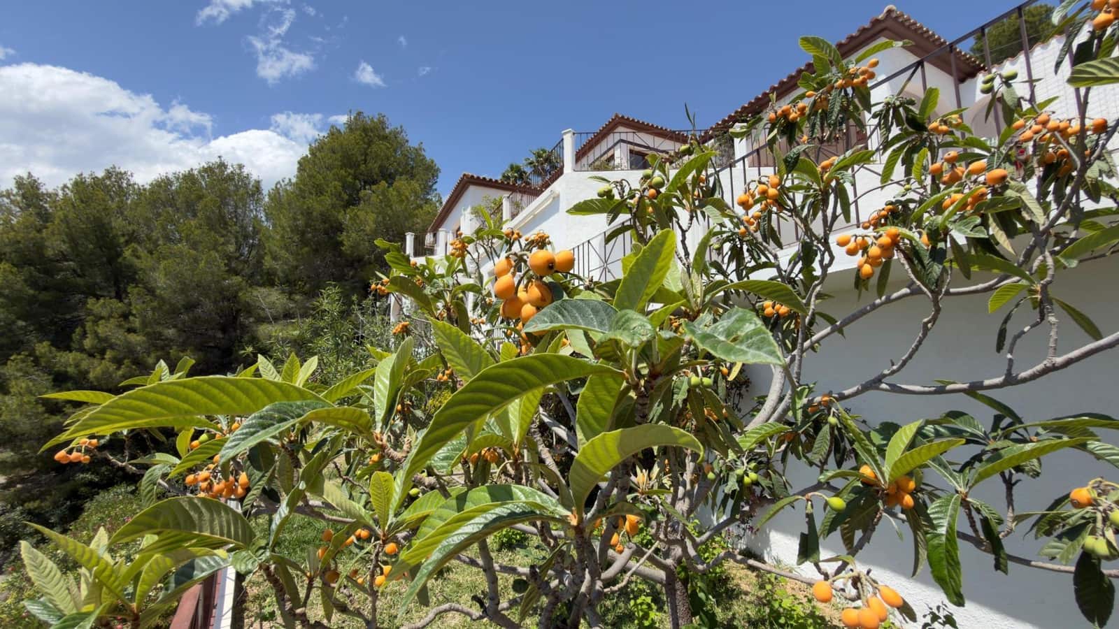5 quarto Moradia para venda em Altea com piscina - 1 650 000 € (Ref: 8098099)
