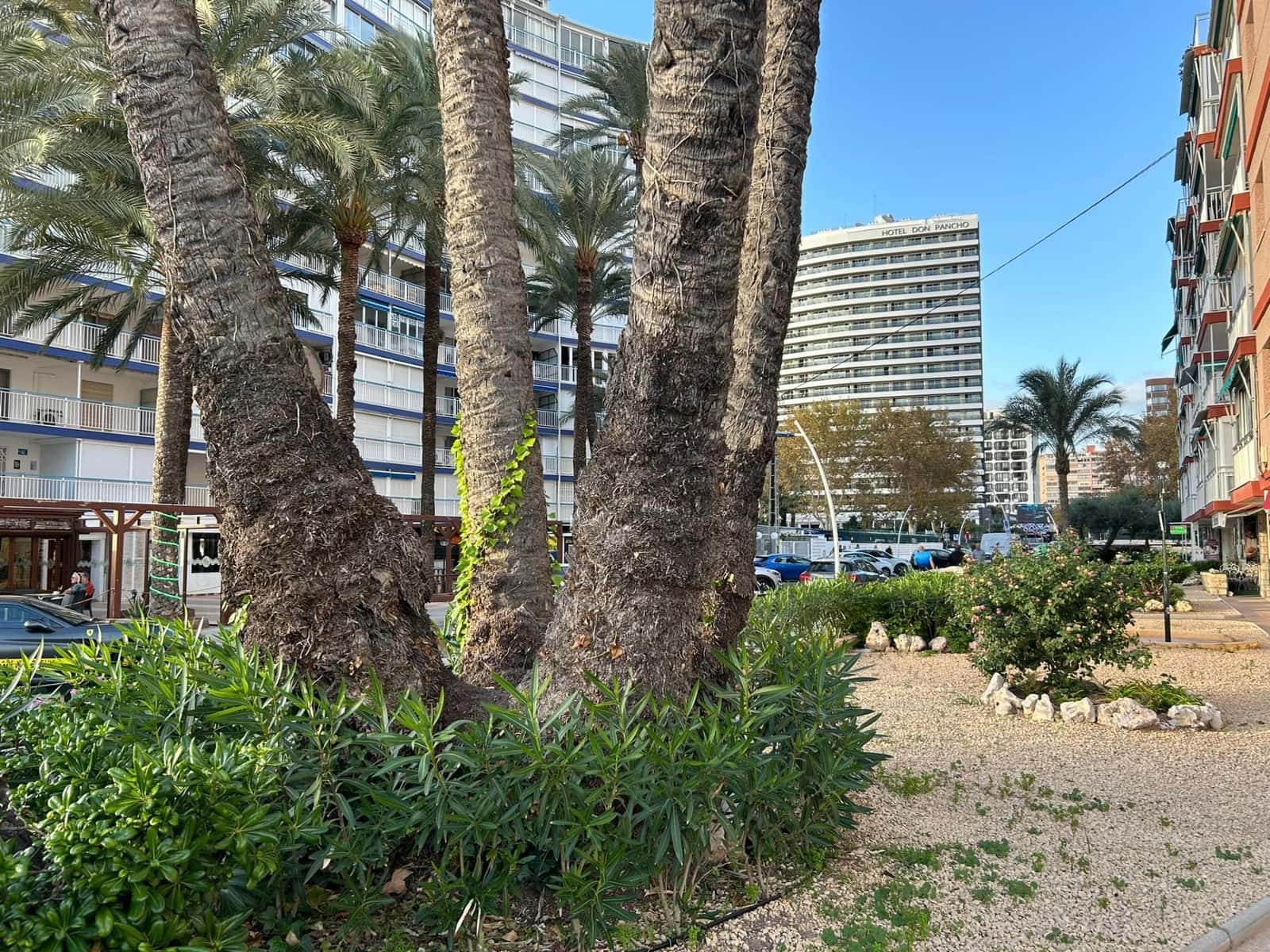 3 soveværelse Lejlighed til salg i Benidorm - € 420.000 (Ref: 8645170)