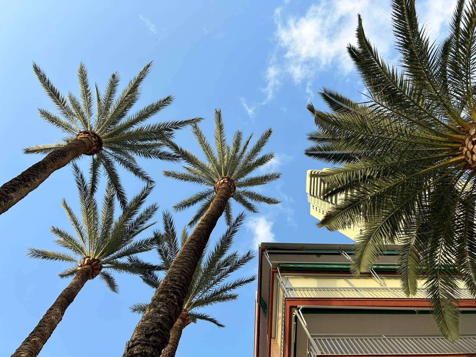 3 sovrum Lägenhet till salu i Benidorm - 420 000 € (Ref: 8645170)