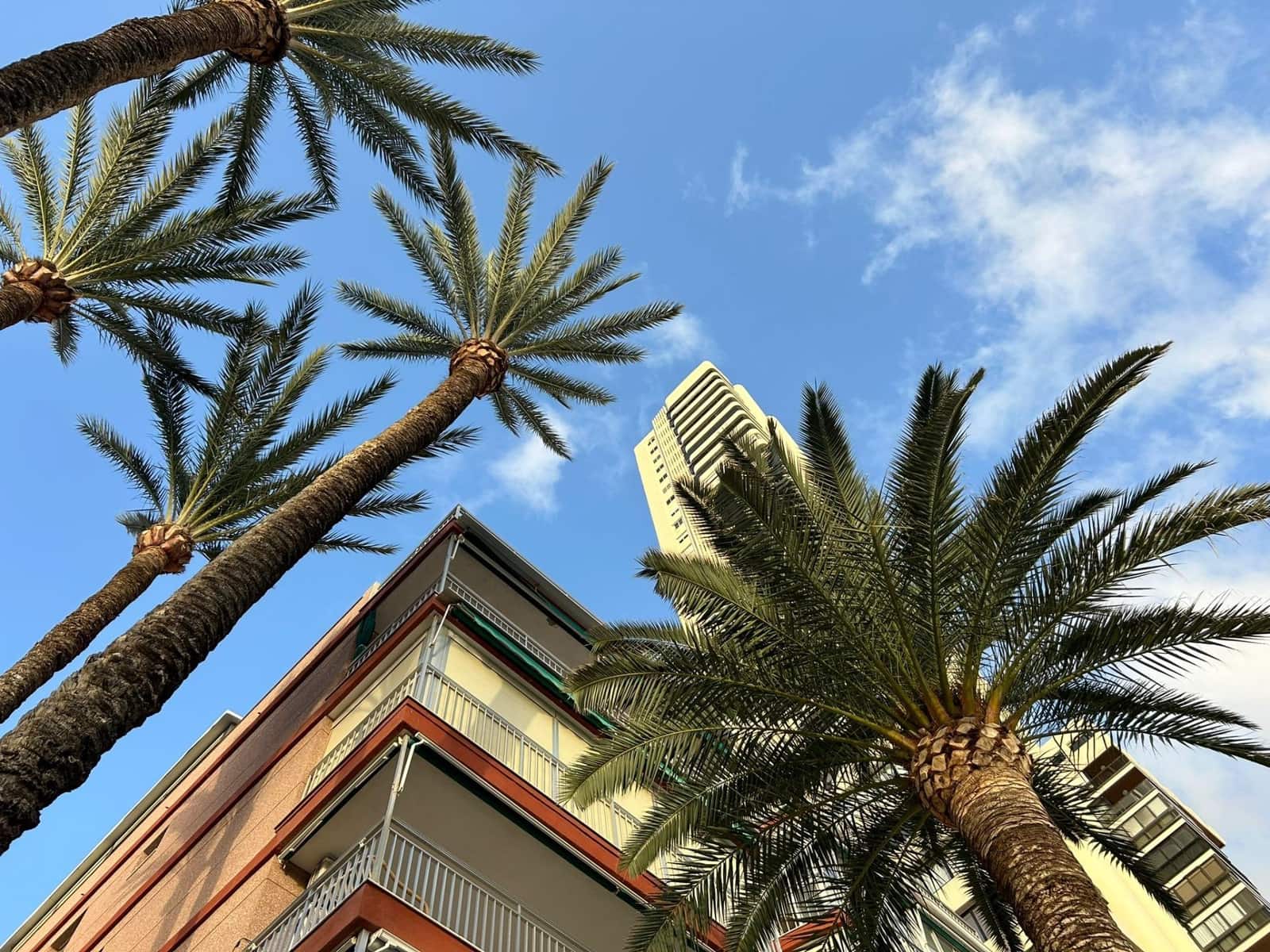 3 sovrum Lägenhet till salu i Benidorm - 420 000 € (Ref: 8645170)