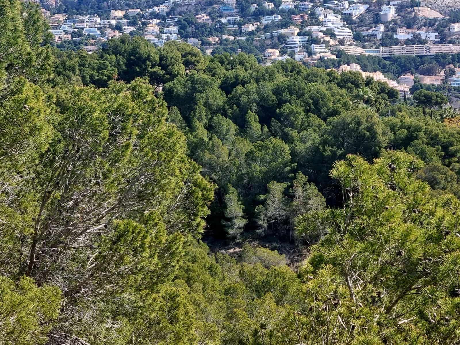 Building Plot for sale in Galera de las Palmeras - € 250,000 (Ref: 8917838)