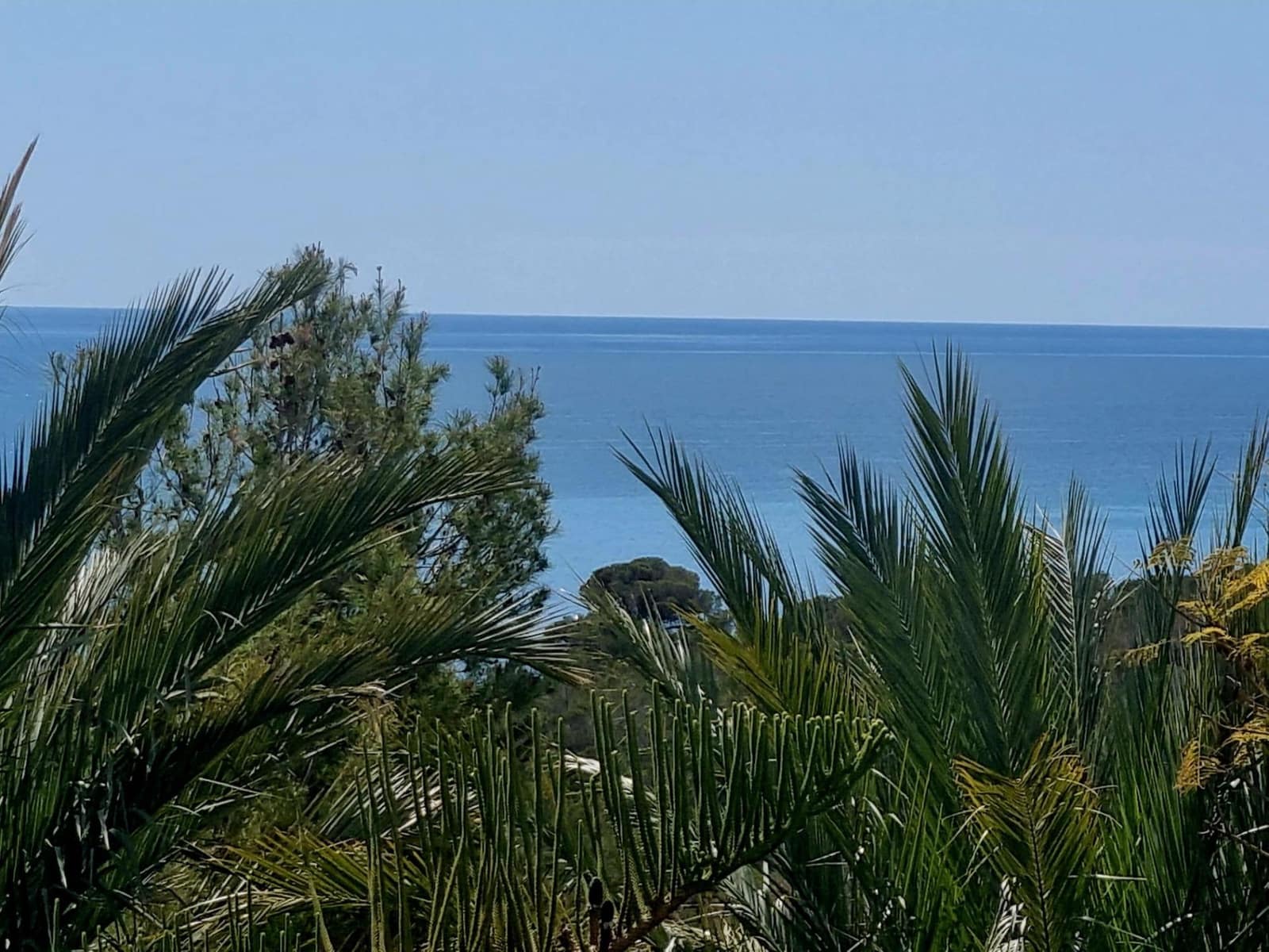 Building Plot for sale in Galera de las Palmeras - € 250,000 (Ref: 8917838)