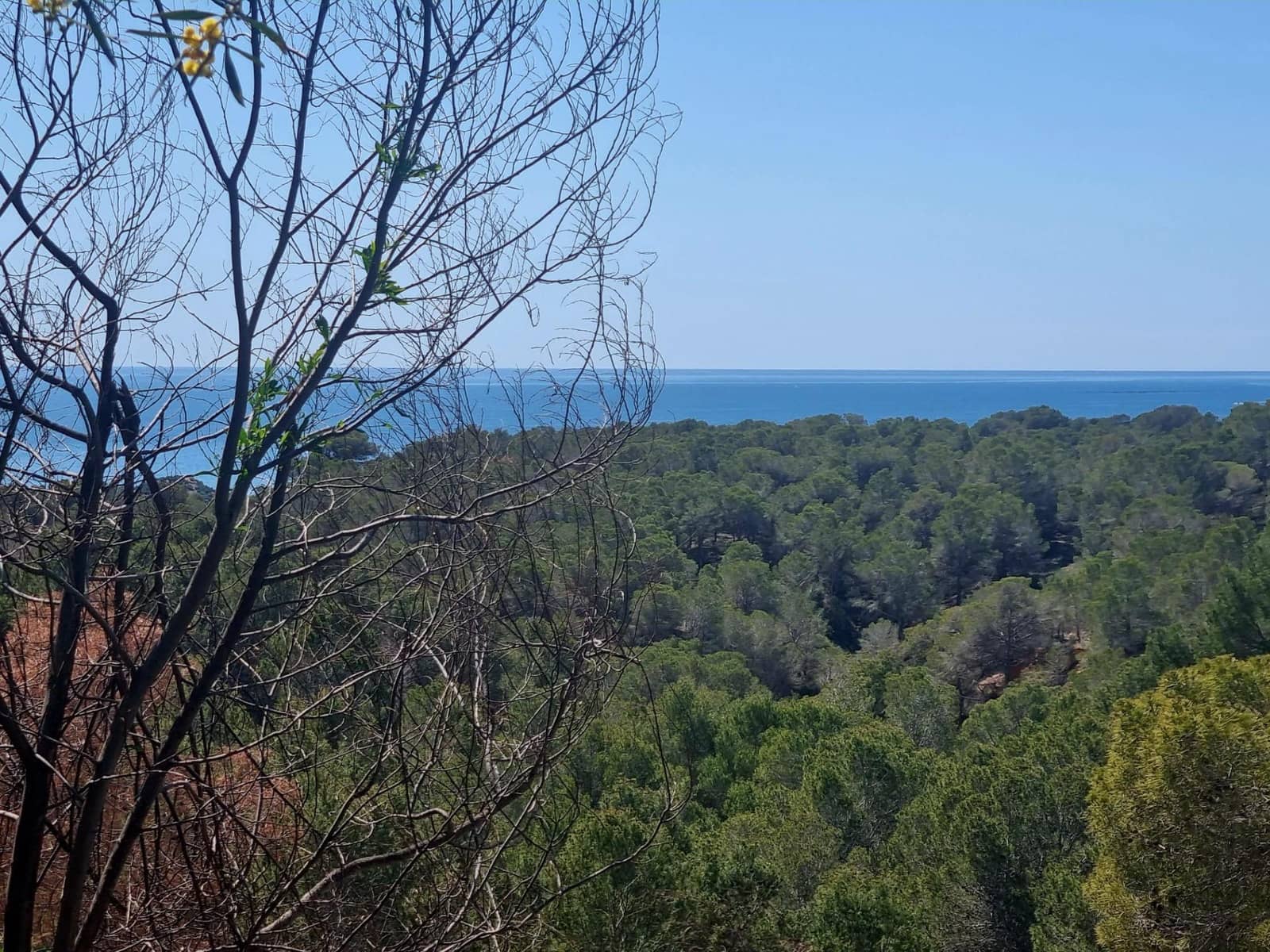 Building Plot for sale in Galera de las Palmeras - € 250,000 (Ref: 8917838)