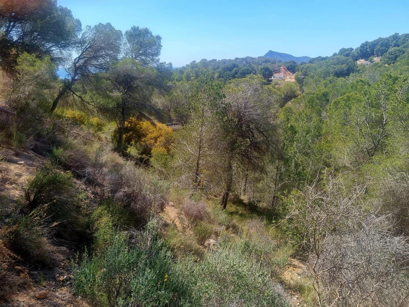 Building Plot for sale in Galera de las Palmeras - € 250,000 (Ref: 8917838)