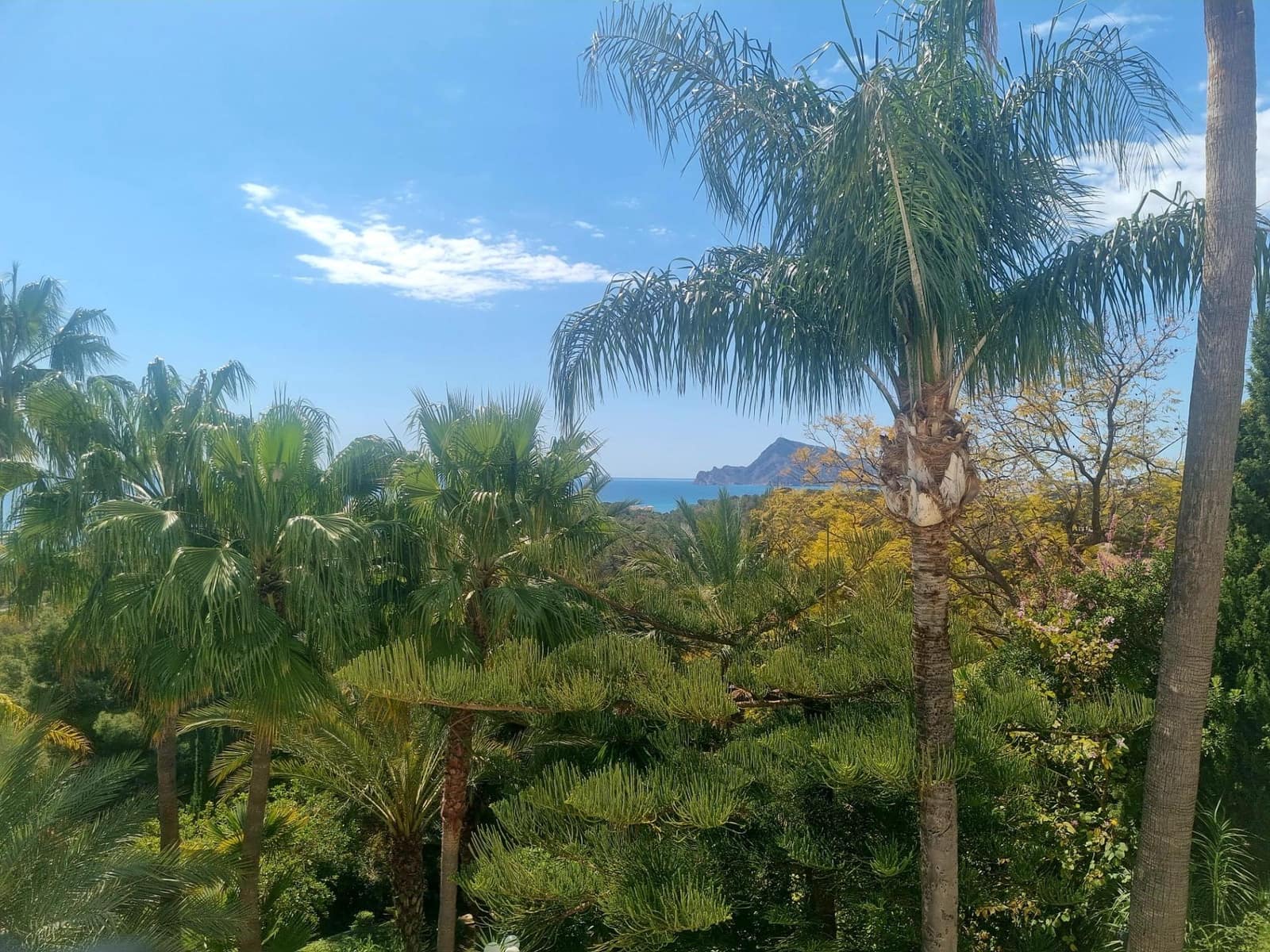 Building Plot for sale in Galera de las Palmeras - € 250,000 (Ref: 8917838)