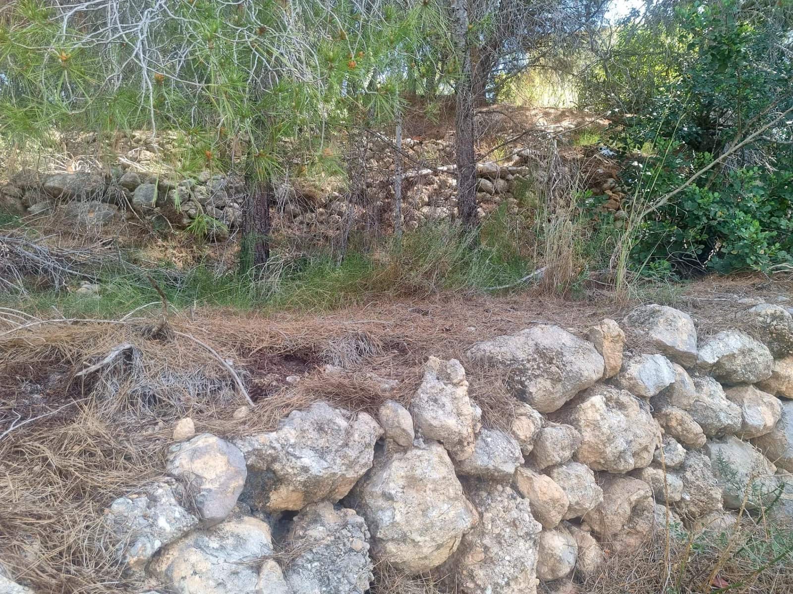 Building Plot for sale in Galera de las Palmeras - € 250,000 (Ref: 8917838)