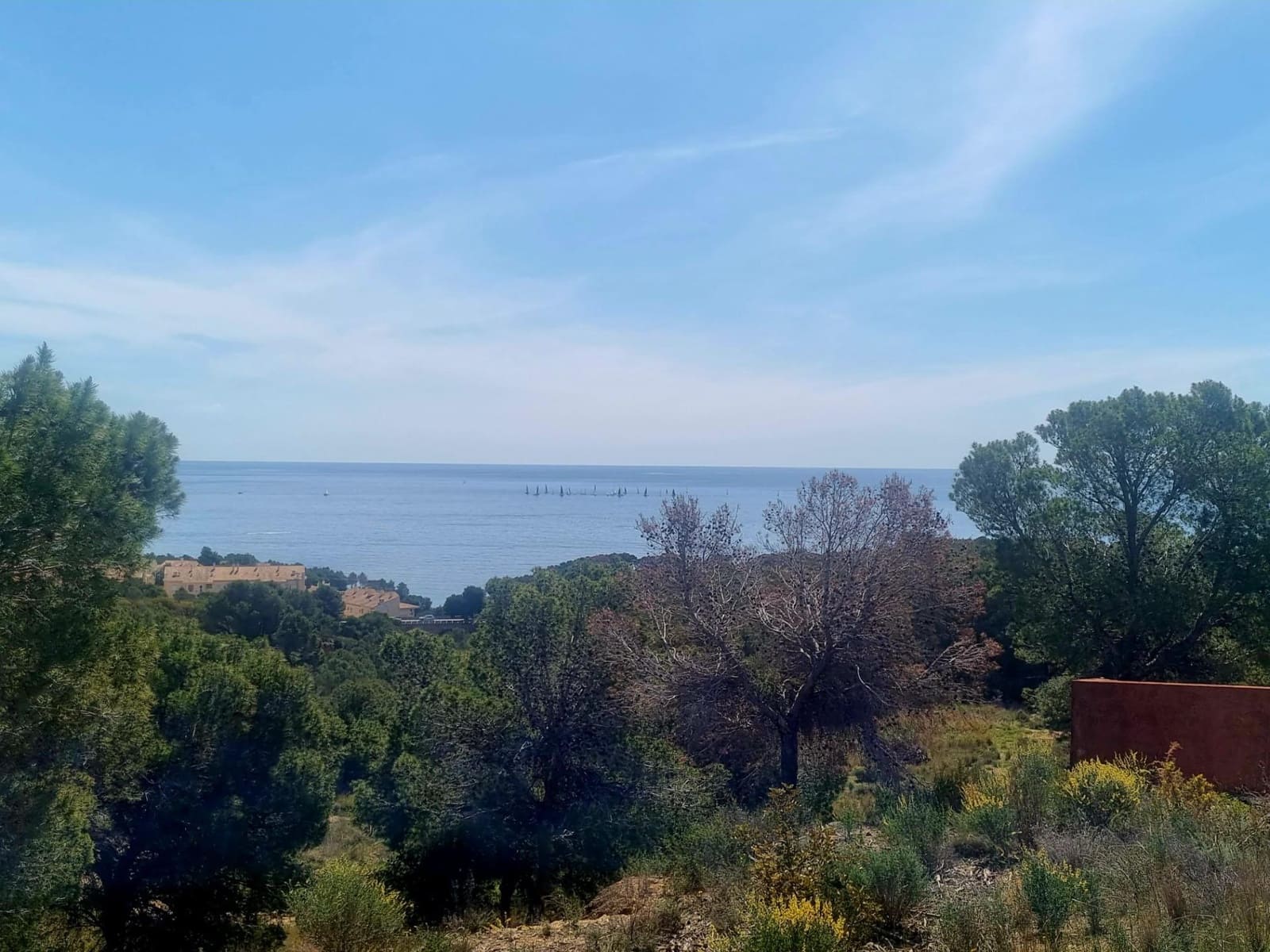 Building Plot for sale in Galera de las Palmeras - € 250,000 (Ref: 8917838)