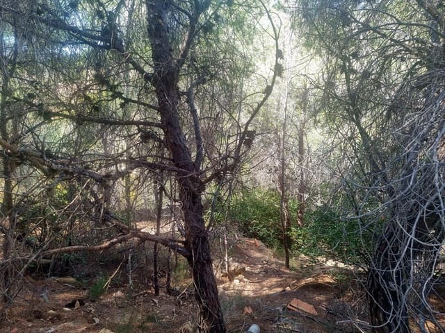 Area Edificabile in vendita in Galera de las Palmeras, Altea - 250.000 € (Rif: 8917838)