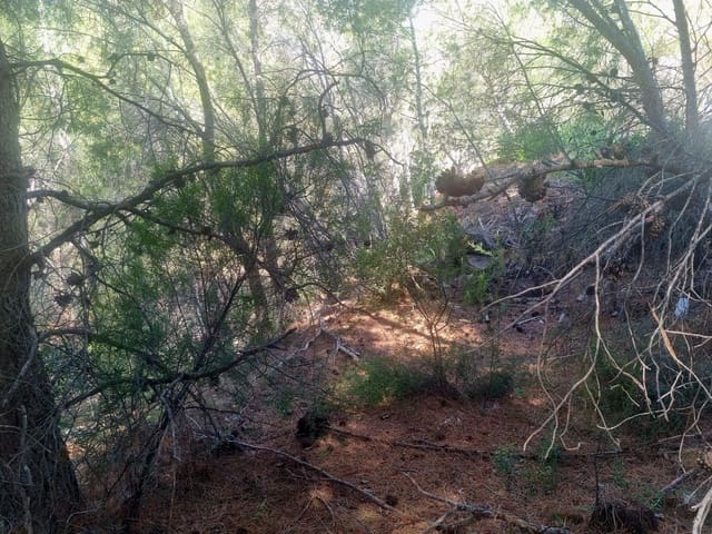 Area Edificabile in vendita in Galera de las Palmeras, Altea - 250.000 € (Rif: 8917838)