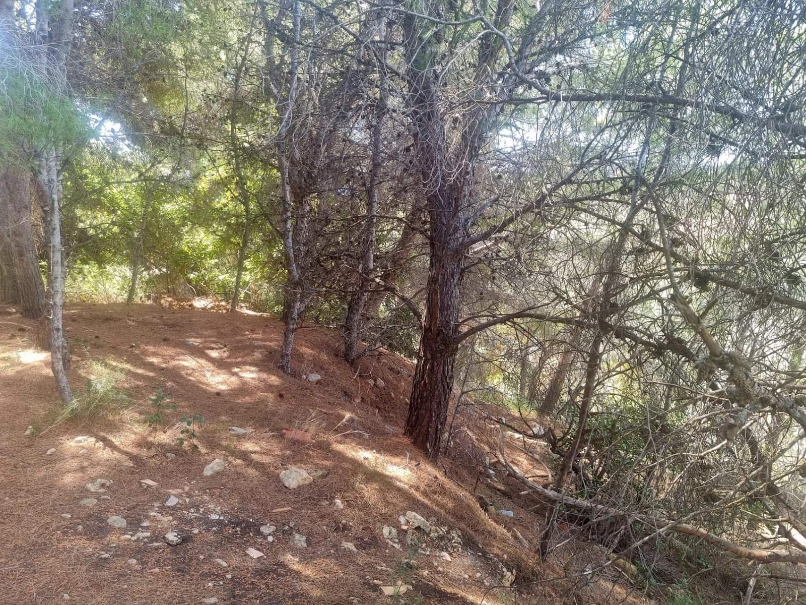 Building Plot for sale in Galera de las Palmeras - € 250,000 (Ref: 8917838)