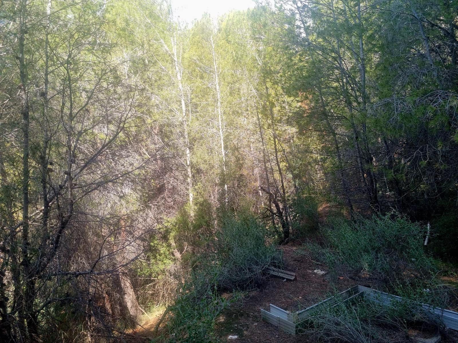 Building Plot for sale in Galera de las Palmeras - € 250,000 (Ref: 8917838)